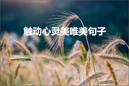 瑙﹀姩蹇冪伒缇庡敮缇庡彞瀛愶紙鏂囨513鏉★級